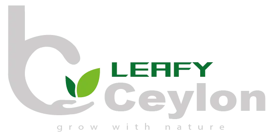 Leafy Ceylon logo