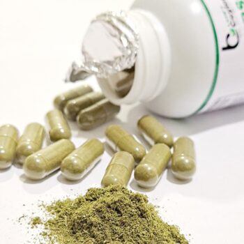 GRAVIOLA SOURSOP CAPSULES HOJAS DE GUANABANA 100% CEYLON