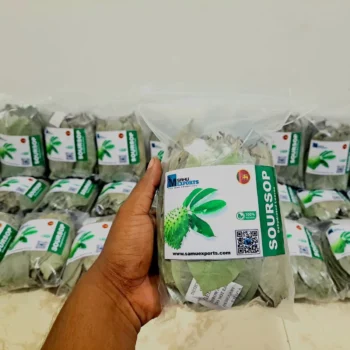 22.5KG SOURSOP LEAVES WITH DHL/FEDEX SHIPPING