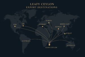 worlwide export