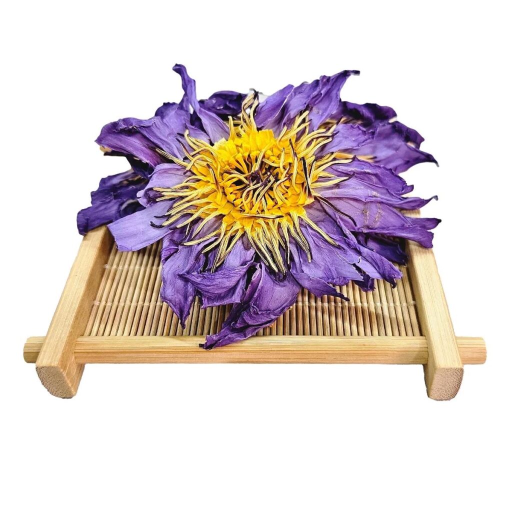 Blue lotus leafy ceylon
