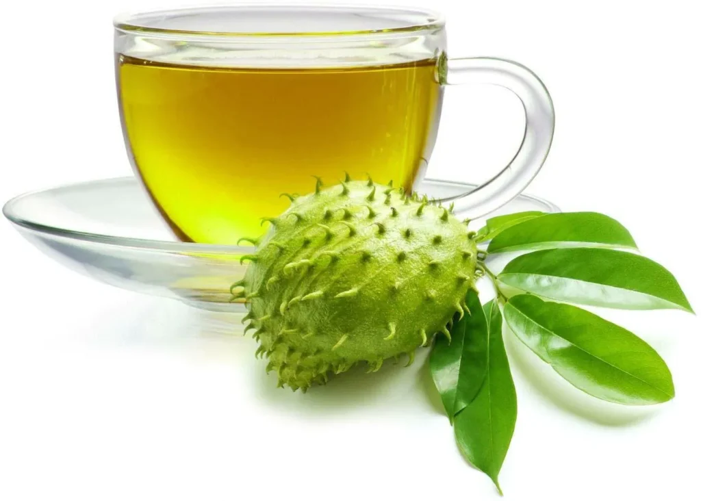 Premium Dried Soursop Leaves Supplier & Exporter | Leafy Ceylon 7 soursopleavestea