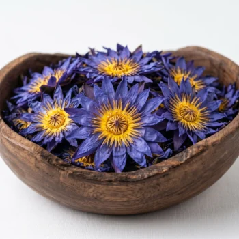 Ceylon Blue lotus Flowers Supply