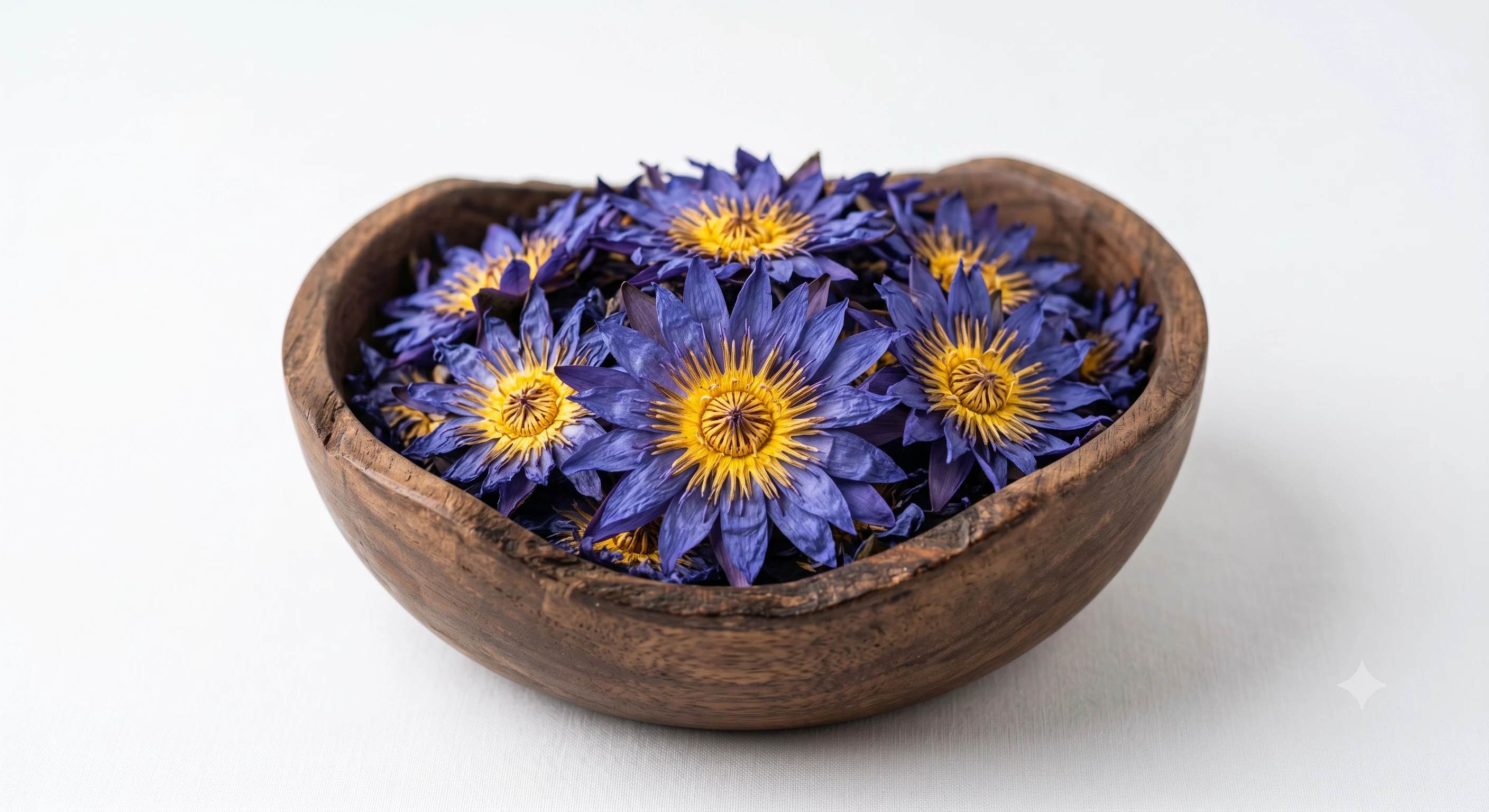 Purple blue lotus flowers with yellow centres in a wooden bowl