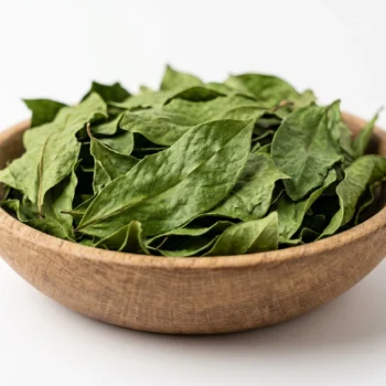 Ceylon Soursop leaves supply