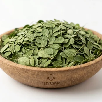 Ceylon moringa Supply